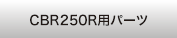 CBR250R�p�p�[�c
