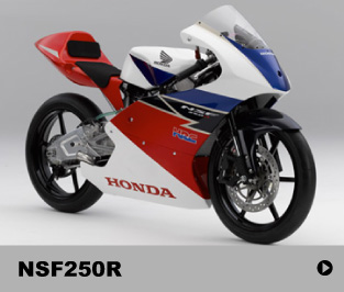 NSF250R