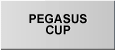 ペガサスカップ