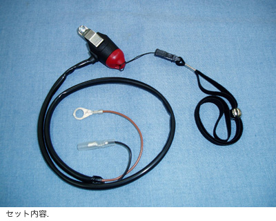 マグネットキルスイッチセット